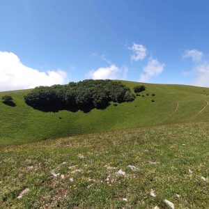 Escursione Castiglione Ugolino