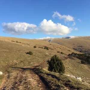 Escursione Assisi Subasio