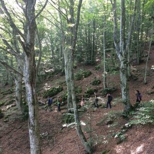 Escursione Costacciaro Monte Cucco