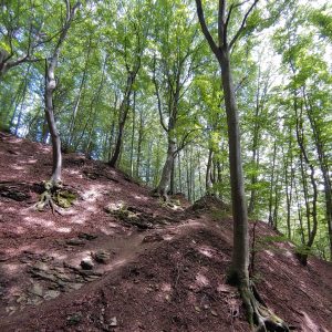 Escursione Costacciaro Monte Cucco