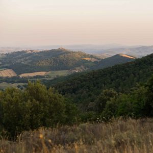 Escursione San Savino