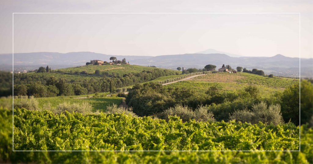 SOGNO DI CONFINE Petrignano del Lago | Trasimeno e Val di Chiana