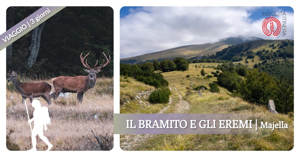 IL BRAMITO E GLI EREMI  Trekking naturalistico nel Parco Nazionale della Majella (Abruzzo)  29 settembre – 1 ottobre 2023  