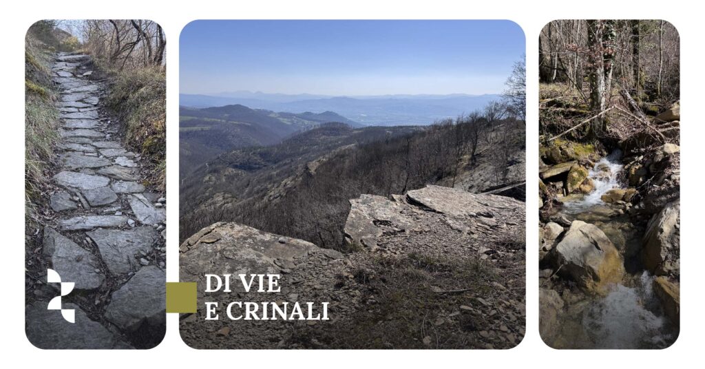 DI VIE E CRINALI Escursione da La Montagna al Poggio della Rocca  Giovedì 1 maggio 2025 
