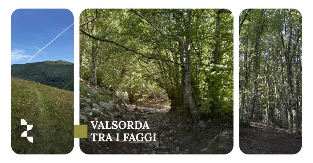 VALSORDA TRA I FAGGI Escursione attorno al Serra Santa  Domenica 15 giugno 2025 